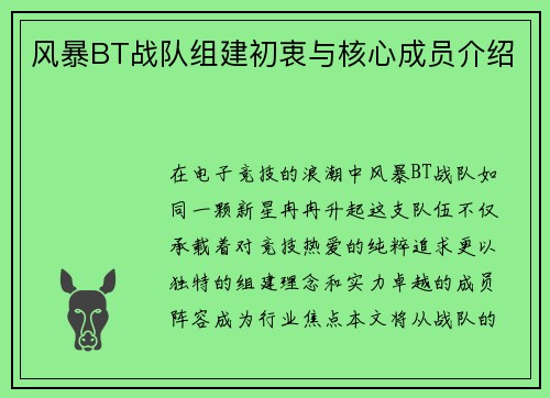 风暴BT战队组建初衷与核心成员介绍
